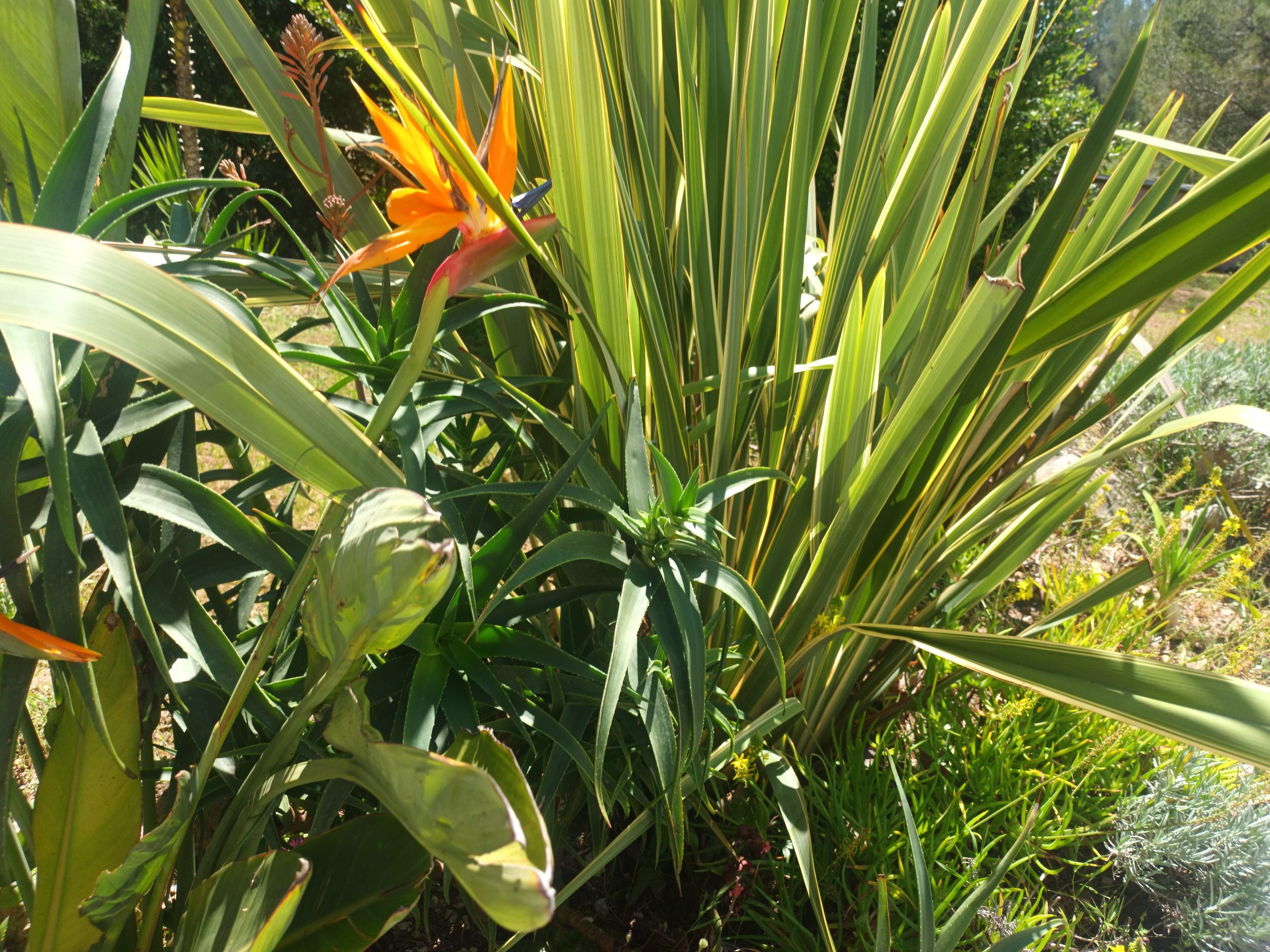 La conciergerie : un allié indispensable pour simplifier votre quotidien et valoriser vos biens 