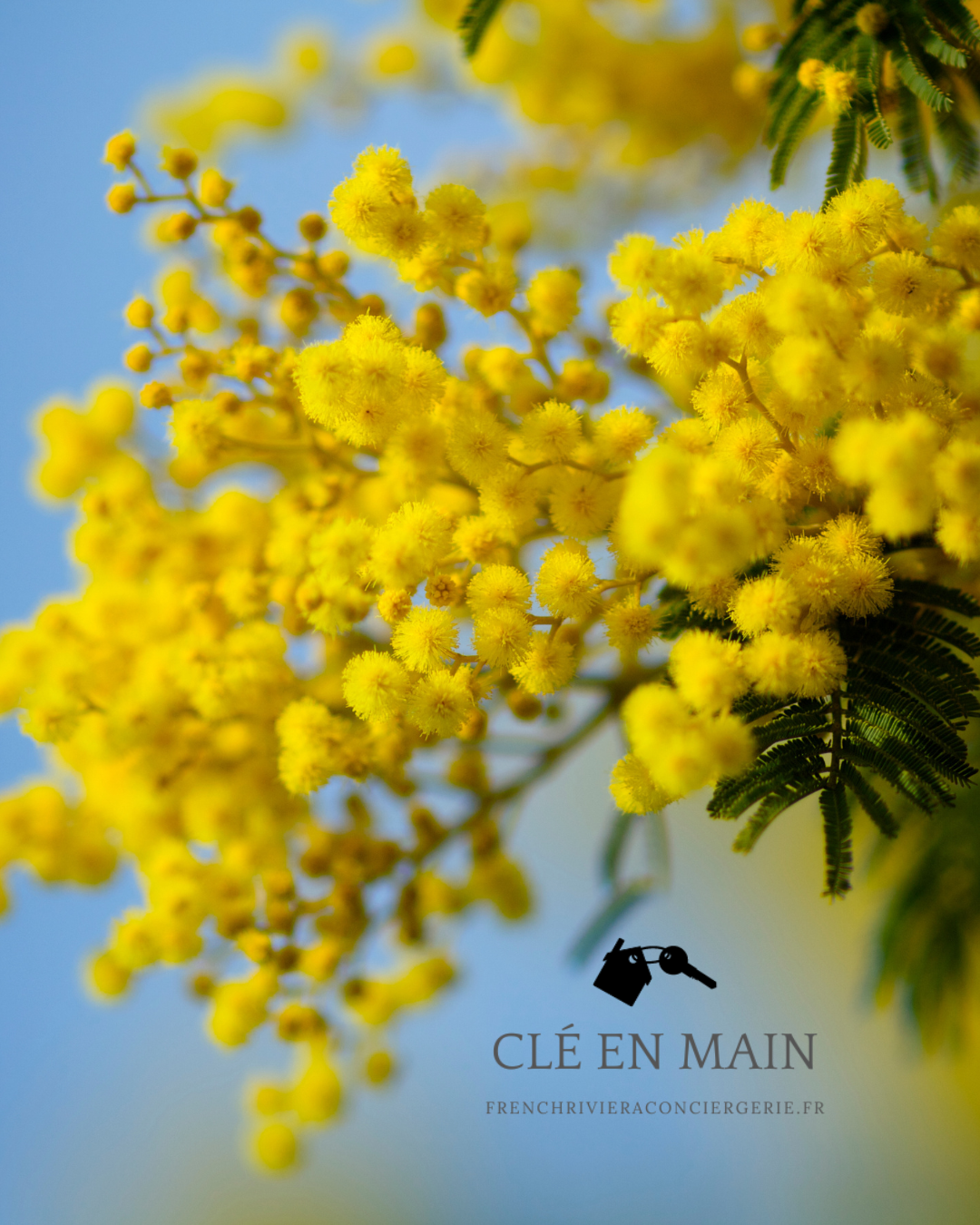 Dire stop pour avancer : Pourquoi je pense qu’il faut choisi mes clients.